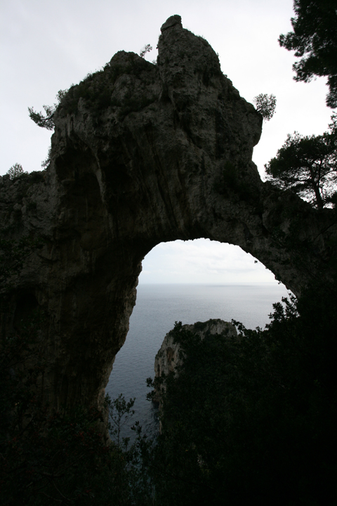 ../fotos/Capri_119.jpg